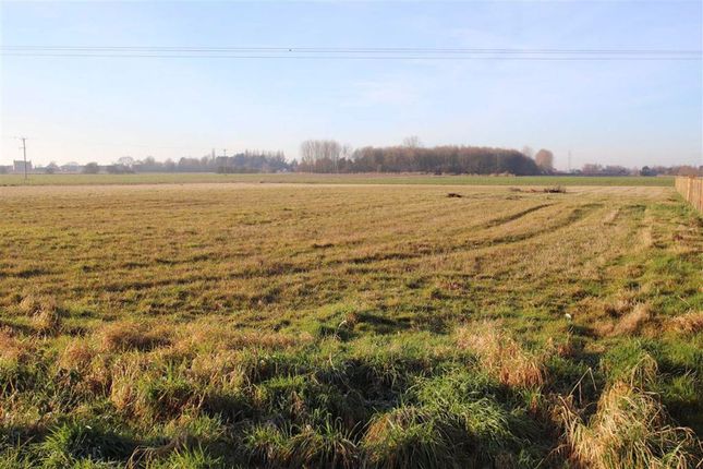 Land for sale in Washdyke Lane, Boston, Lincolnshire