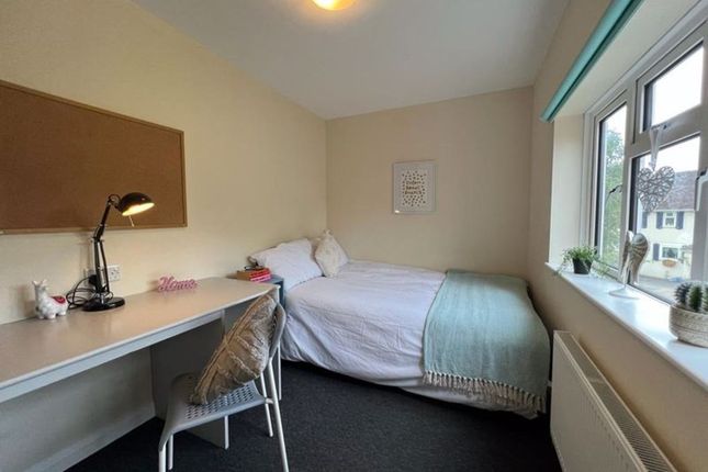 12, MASTER Twyford Road, Brighton photo 5