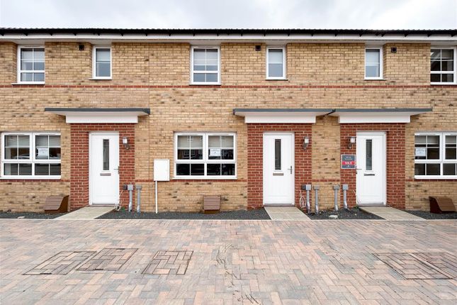 Thumbnail Terraced house to rent in Bluebell Close, Cramlington