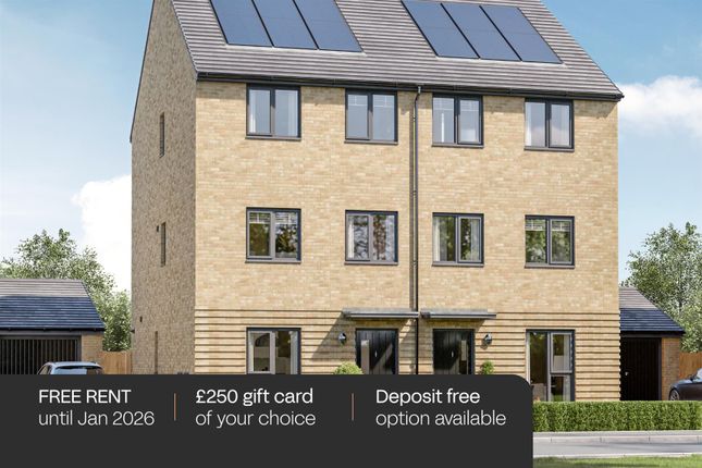 Devoke  - Christmas Incentive 2025.Png