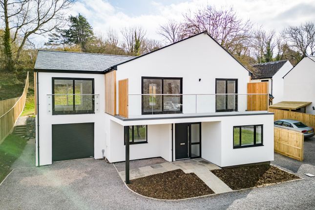 Thumbnail Detached house for sale in Stonebarrow Lane, Charmouth