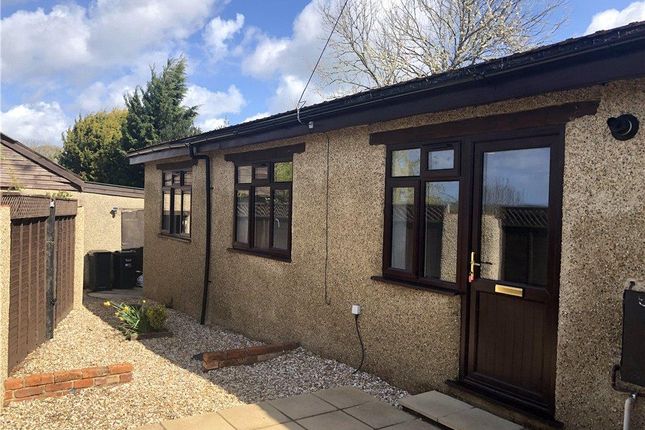 Thumbnail Semi-detached bungalow to rent in Windmill Hill, Ashill, Ilminster