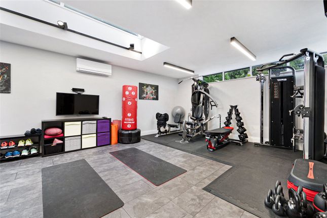 Gymnasium