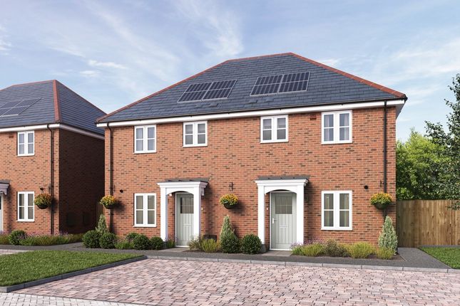 Knightwood Chase, Fordingbridge