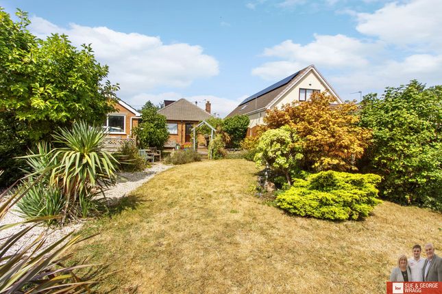 Lin Sue, Brockholes Lane, Branton, Doncaster photo 4