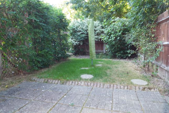 Crawley photo 2