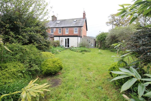 Thumbnail Cottage for sale in Axe Road, Drimpton, Beaminster