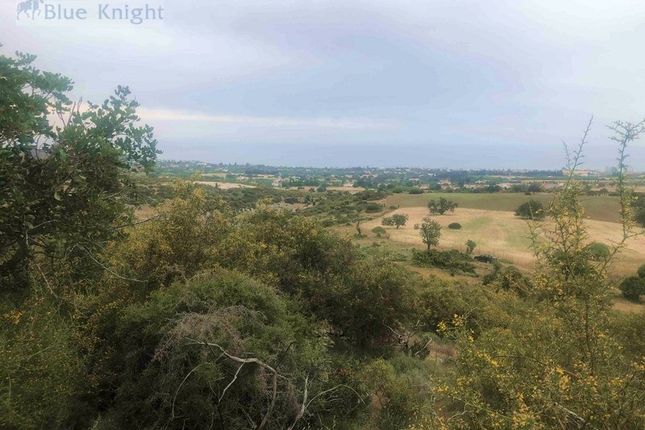 Thumbnail Land for sale in Paphos, Neo Chorio Pafou