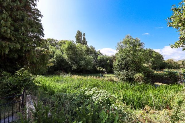 Riverbank