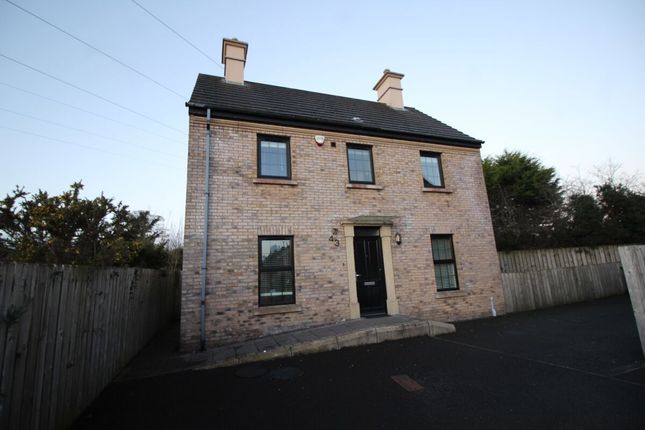 Thumbnail Detached house for sale in Lady Wallace Crescent, Thaxton, Lisburn