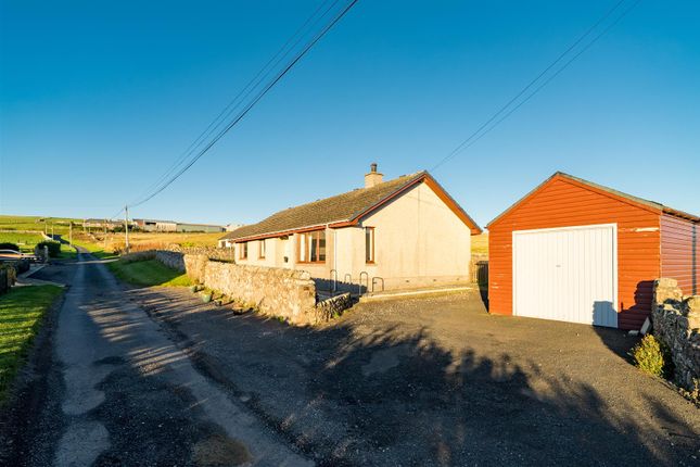 Lamberton Holdings, Berwick-Upon-Tweed photo 4