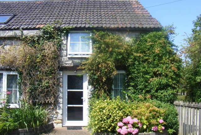 Thumbnail Cottage to rent in Ivy House Farm, Wolvershill, Banwell