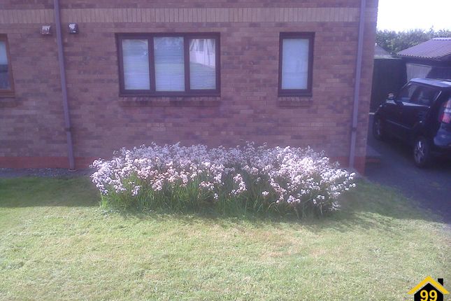43, Honeyborough Grove, Milford Haven photo 2