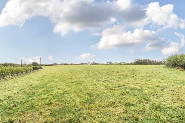 CAEGWYLLT, KIDWELLY photo 3