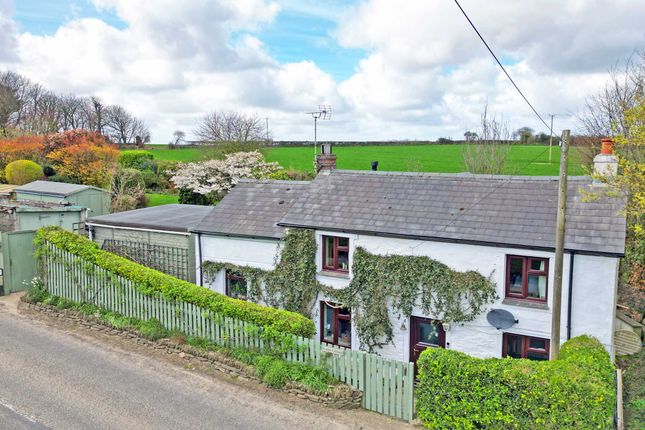 Poppy Cottage, Truro photo 4