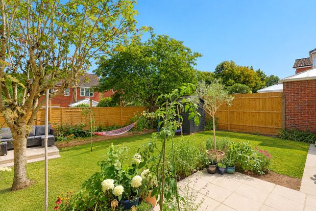 40 Lion d'Angers, Wiveliscombe Taunton Somerset, Somerset photo 2