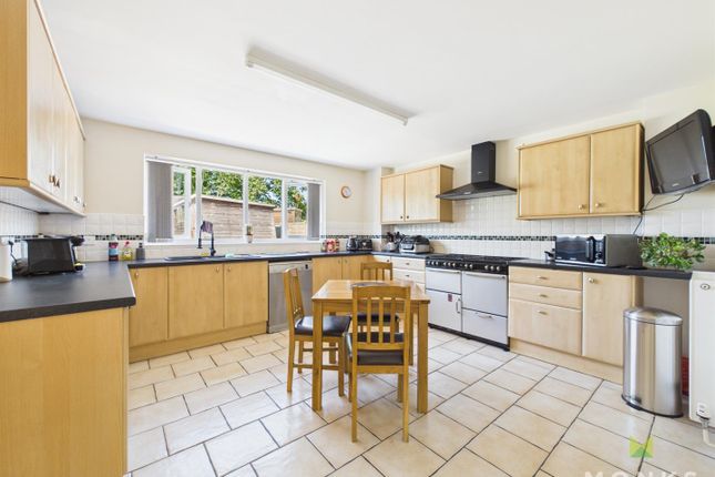 Dogberry, Rhewl, Oswestry photo 3