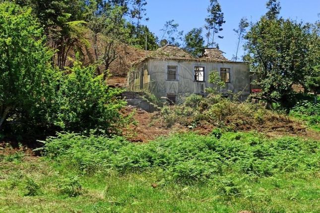 Thumbnail Detached house for sale in Santo António Da Serra, Machico, Ilha Da Madeira