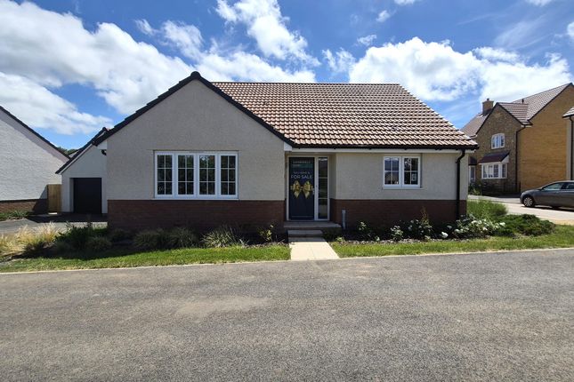 3-bed house on Plot 267, The Rumwell, Taunton, £450,000
