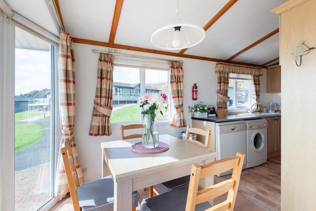 100, Sauchope Links Holiday Park, Crail photo 5