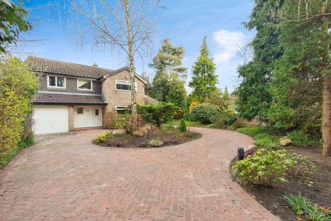 Thumbnail Detached house for sale in Old Wool Lane, Cheadle Hulme, Cheadle, Greater Manchester