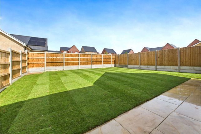 Plot 126 The Galium, Chattowood, Elmstead Market photo 2