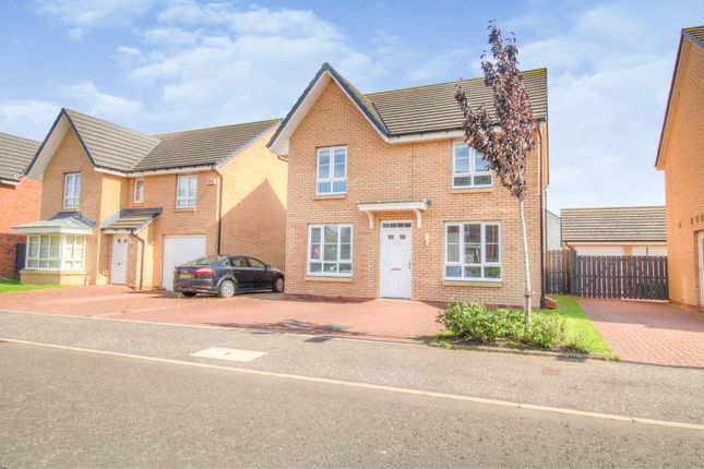 Thumbnail Detached house for sale in Foxglove Grove, Cambuslang, Glasgow