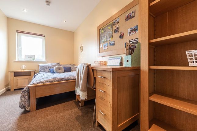 Room To Rent In Stepney Lane Shieldfield Newcastle Upon