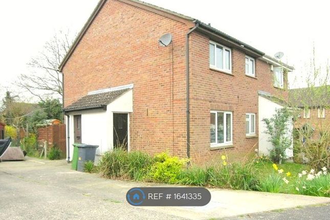 Thumbnail Semi-detached house to rent in Mortimer Gardens, Tadley