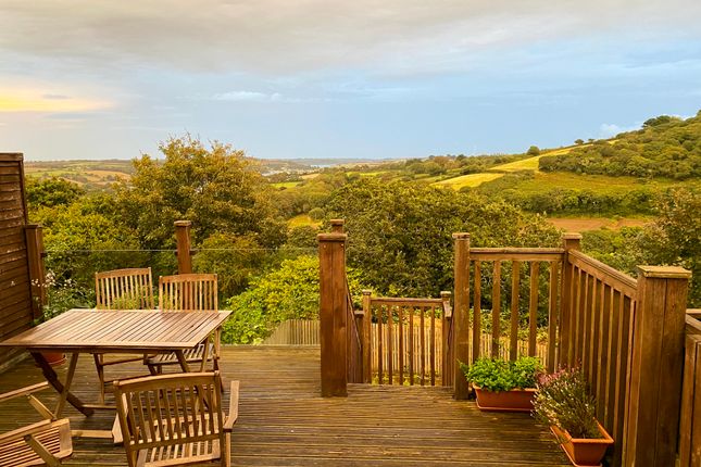 33, Penryn photo 2