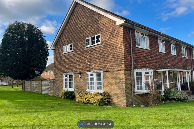 Thumbnail Semi-detached house to rent in The Street, Effingham, Leatherhead