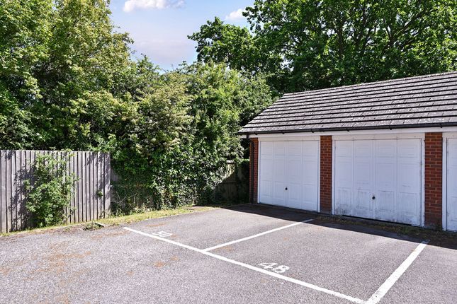 50 Kings Prospect, Ashford photo 4