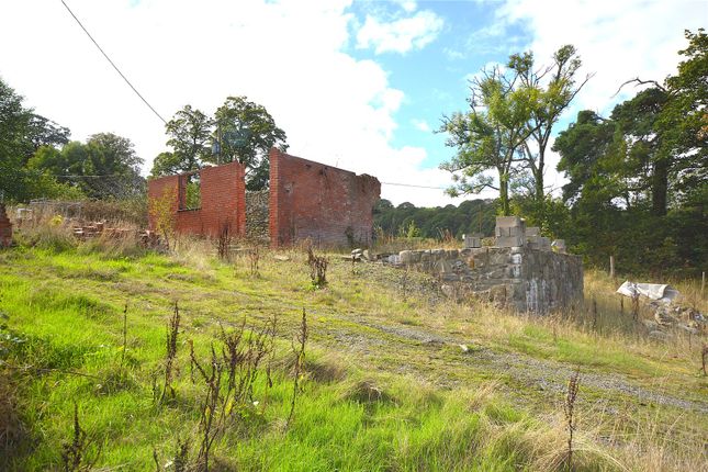Ty Canol,, Tafolwern, Powys photo 5