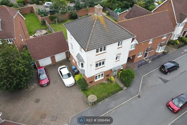 Thumbnail Detached house to rent in Great Marlow, Hook