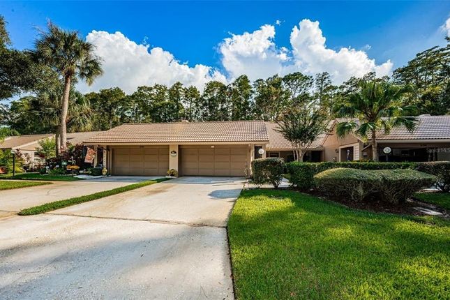 Thumbnail Villa for sale in 3192 Windmoor Drive N, Palm Harbor, Florida, 34685, United States Of America