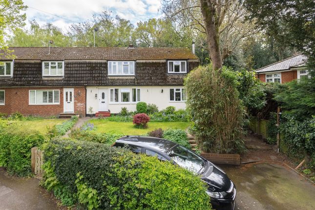 Thumbnail Semi-detached house for sale in Springfield Road, Westcott, Dorking