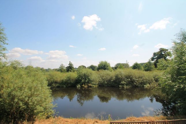 Almere Ferry Farm, Trevalyn, Wrexham photo 4