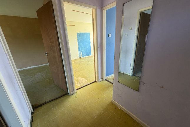 4, Lawrence Avenue, Ripley photo 2