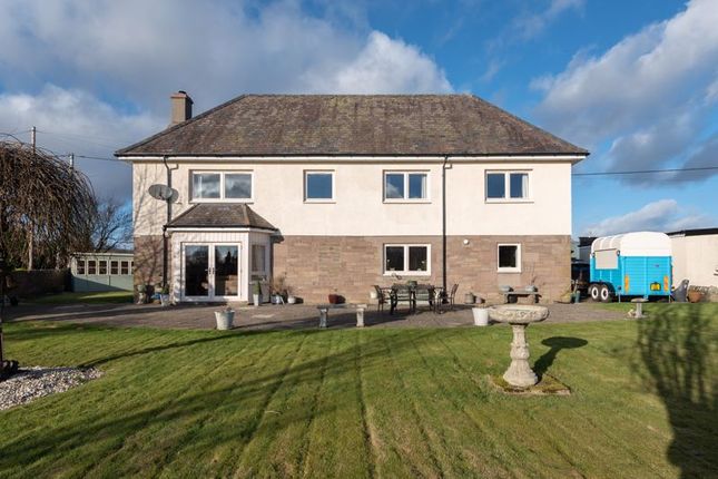 Thumbnail Detached house for sale in Braehead Road, Letham, Forfar