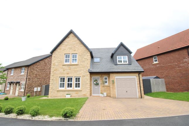 Thumbnail Detached house for sale in Shepherd Drive, Crawcrook, Ryton