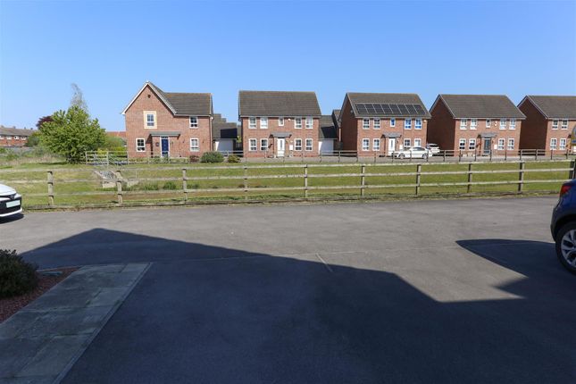 16, Whitmoore Drive, Doncaster photo 5