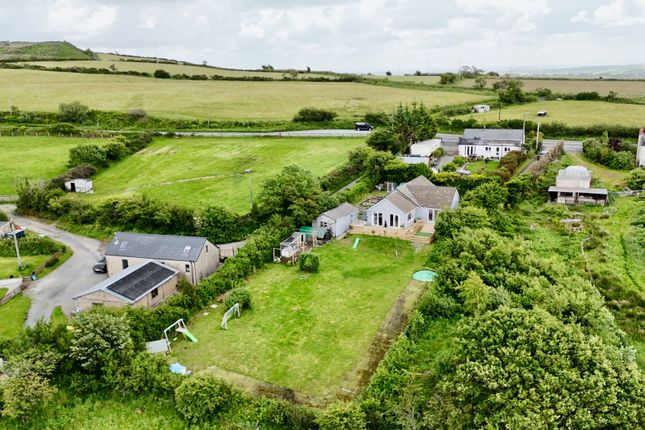 Arwel, Whitland photo 3