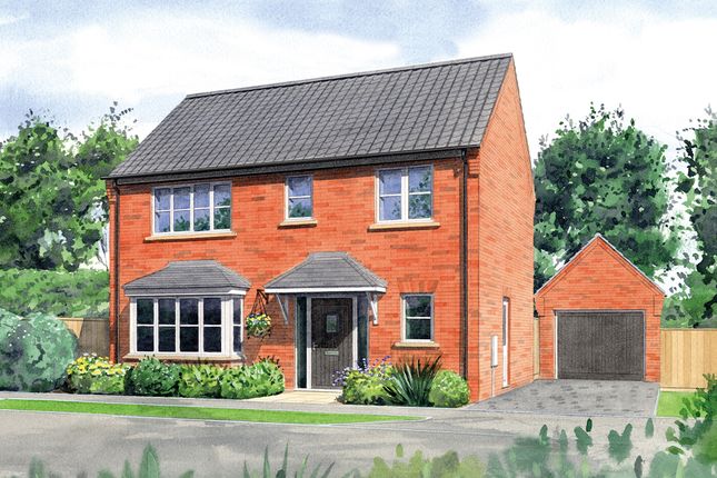 Thumbnail Detached house for sale in Dragonfly Way, Holt