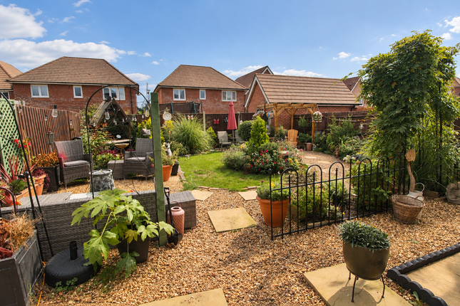 Ainsworth Road, Waterlooville photo 4