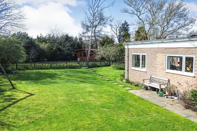4, Beauchamp Place, Bedford photo 4
