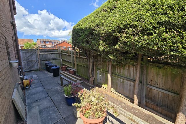 Side Garden