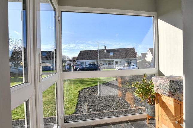 55, Beech Green, Ballyclare photo 4