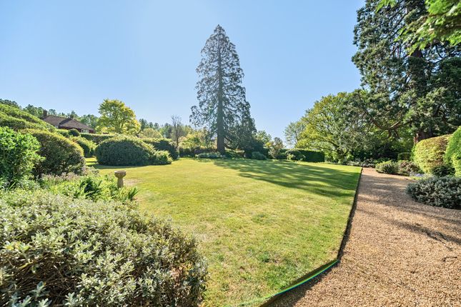 8, Summersbury Hall, Shalford photo 4