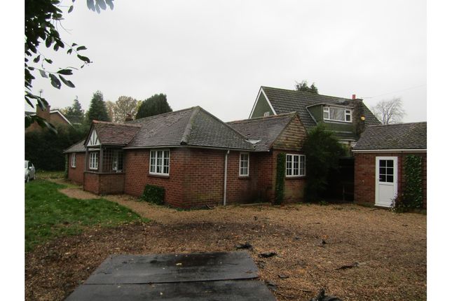 Thumbnail Bungalow to rent in Westfield Road, Woking