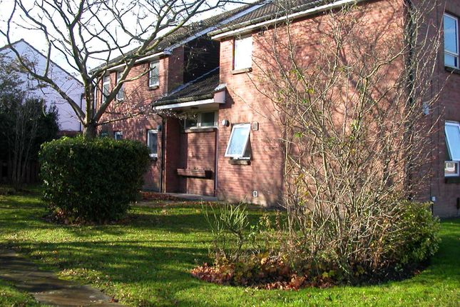 Studio to rent in Kinross Close, Fearnhead, Warrington